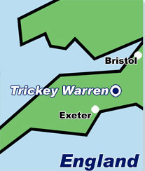 trickey warren rally stage